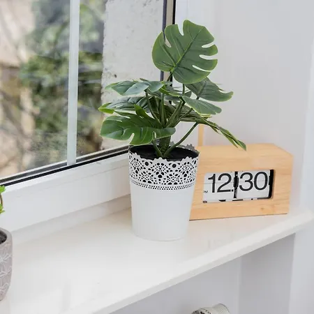 Amber Old Town By Renters Apartment